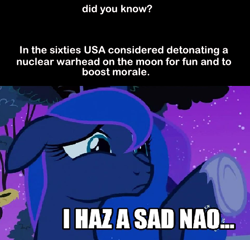 Size: 491x472 | Tagged: safe, princess luna, alicorn, pony, female, fun fact, horn, image macro, mare, project a119