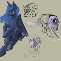 Size: 1267x1267 | Tagged: safe, artist:erijt, princess luna, alicorn, pony, female, horn, mare, sketch, tumblr