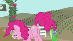 Size: 1920x1080 | Tagged: safe, screencap, gummy, pinkie pie, pony, castle mane-ia, season 4, female, lidded eyes, mare, out of context, plot, presenting, the ass was fat