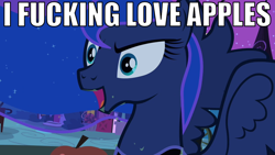 Size: 768x432 | Tagged: safe, princess luna, alicorn, pony, female, horn, image macro, mare, nightmare night, vulgar