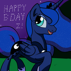 Size: 2000x2000 | Tagged: safe, artist:midwestbrony, princess luna, alicorn, pony, female, horn, mare, night, solo