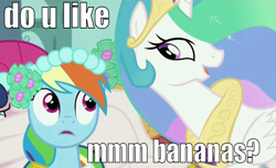 Size: 692x420 | Tagged: safe, edit, screencap, princess celestia, rainbow dash, alicorn, pegasus, pony, a canterlot wedding, do you like bananas?, female, friendship is magic bitch, impact font, mare, trollestia