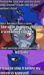 Size: 634x1081 | Tagged: safe, olden pony, princess luna, alicorn, pony, sleepless in ponyville, comic, text