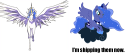 Size: 1091x481 | Tagged: safe, princess luna, alicorn, pony, sleepless in ponyville, caption, helios, lulios, sailor moon, shipping