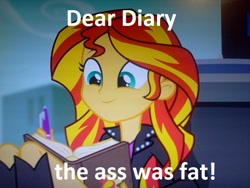 Size: 640x480 | Tagged: safe, edit, edited screencap, screencap, sunset shimmer, equestria girls, rainbow rocks, book, caption, diary, journey book, meme, solo, the ass was fat