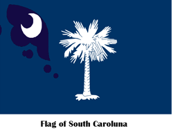 Size: 750x569 | Tagged: artist needed, safe, princess luna, cutie mark, flag, moon, no pony, pun, simple background, south carolina