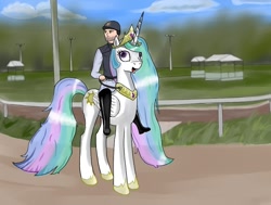 Size: 900x680 | Tagged: safe, artist:smehoon, princess celestia, human, humans riding ponies, open mouth, race track, reins, riding, saddle, smiling