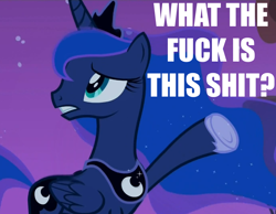 Size: 900x700 | Tagged: safe, edit, edited screencap, screencap, princess luna, alicorn, pony, caption, image macro, meme, reaction image, solo, text, vulgar, what the fuck is this shit