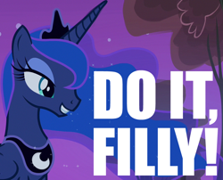 Size: 890x720 | Tagged: safe, princess luna, alicorn, pony, caption, do it filly, image macro, reaction image