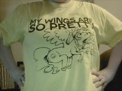 Size: 800x600 | Tagged: safe, princess celestia, human, clothes, irl, irl human, photo, shirt, solo