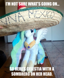 Size: 846x1024 | Tagged: artist needed, safe, princess celestia, hat, image macro, irl, meme, photo, plushie, reaction image, reddit, sombrero