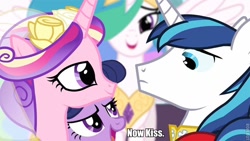 Size: 720x405 | Tagged: safe, princess cadance, princess celestia, shining armor, twilight sparkle, unicorn twilight, alicorn, pony, unicorn, brother, clothes, crown, dialogue, female, horn, image macro, jewelry, looking at each other, male, mare, multicolored mane, now kiss, open mouth, pink coat, purple coat, purple eyes, regalia, shipper on deck, siblings, sister, smiling, spread wings, stallion, twilight the shipper, two toned mane, wedding, white coat, white wings, wings