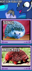 Size: 438x952 | Tagged: safe, princess luna, alicorn, pony, and knuckles, crossover, exploitable meme, gamer luna, gamer meme, knuckles the echidna, meme, obligatory pony, sonic the hedgehog, sonic the hedgehog (series), tv meme