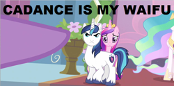 Size: 640x317 | Tagged: safe, princess cadance, princess celestia, queen chrysalis, shining armor, twilight sparkle, alicorn, changeling, changeling queen, pony, unicorn, fake cadance, frown, glare, image macro, pointing, waifu, wide eyes