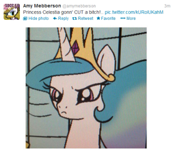 Size: 509x461 | Tagged: safe, idw, princess celestia, amy mebberson, twitter, vulgar