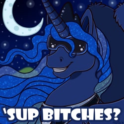 Size: 1000x1000 | Tagged: safe, artist:sugarcat, princess luna, alicorn, pony, image macro, sunglasses, vulgar