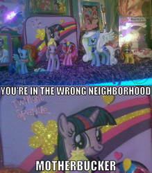 Size: 899x1025 | Tagged: source needed, safe, angel bunny, pinkie pie, princess luna, rainbow dash, spike, sunset shimmer, twilight sparkle, twilight sparkle (alicorn), unicorn twilight, alicorn, dragon, pegasus, pony, unicorn, female, image macro, mare, special face, twiface, wrong neighborhood