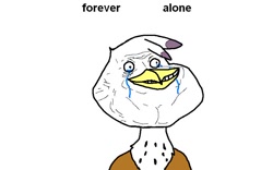 Size: 840x525 | Tagged: safe, derpibooru import, gilda, griffon, forever alone, meme