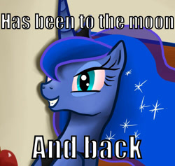 Size: 500x474 | Tagged: safe, artist:verypen, princess luna, alicorn, pony, [10] guy, drugs, high, image macro, meme, solo