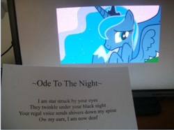 Size: 643x479 | Tagged: safe, princess luna, alicorn, pony, otaku date, poem, solo, waifu dinner