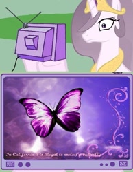 Size: 539x696 | Tagged: safe, princess celestia, alicorn, butterfly, pony, california, exploitable meme, law, meme, obligatory pony, princess molestia, tv meme