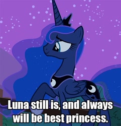 Size: 500x518 | Tagged: safe, edit, edited screencap, screencap, princess luna, alicorn, pony, caption, female, image macro, mare, meta, solo, text