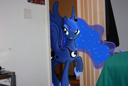 Size: 4272x2848 | Tagged: safe, artist:sniper6vs7rocket, princess luna, alicorn, pony, doorway, ponies in real life, raised hoof, room, solo, vector