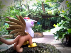 Size: 1200x900 | Tagged: safe, derpibooru import, gilda, rainbow dash, griffon, blind bag, irl, photo, toy