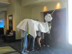 Size: 4000x3000 | Tagged: safe, princess celestia, human, bronycon, cosplay, irl, irl human, photo, the numbered