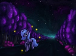 Size: 1600x1192 | Tagged: dead source, safe, artist:polkin, princess luna, alicorn, firefly (insect), pony, female, forest, glow, night, night sky, s1 luna, sky, solo, starry sky, stars, tree