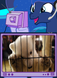 Size: 509x694 | Tagged: safe, princess luna, alicorn, pony, cute, exploitable meme, gamer luna, polar bear, polar bear luna, tv meme