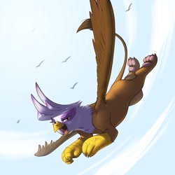 Size: 900x900 | Tagged: safe, artist:kevinsano, derpibooru import, gilda, griffon, flying, open mouth, paws, solo, underpaw