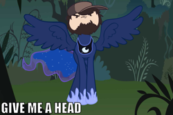 Size: 1019x681 | Tagged: safe, princess luna, alicorn, pony, game grumps, give me a head, impact font, jontron, not so grump, text