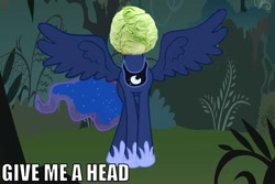 Size: 1019x681 | Tagged: safe, princess luna, alicorn, pony, cabbage, give me a head, impact font, text