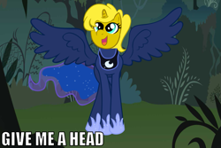 Size: 1019x681 | Tagged: safe, princess luna, oc, oc:ticket, alicorn, pony, alicorn oc, draw on me, exploitable meme, give me a head, meme