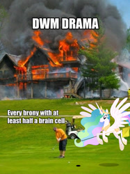 Size: 479x639 | Tagged: safe, princess celestia, human, down with molestia, drama, fire, golf, image macro, irl, meta, photo, ponies in real life, text