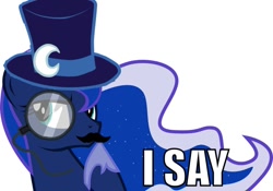 Size: 960x673 | Tagged: safe, princess luna, alicorn, pony, classy, hat, i say, monocle, moustache, simple background, solo, top hat