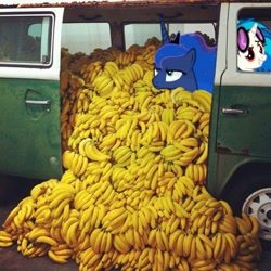 Size: 500x500 | Tagged: safe, artist:ra1nbowscr4tch, edit, dj pon-3, princess luna, vinyl scratch, alicorn, pony, unicorn, banana, car, friendship is magic bitch, ponies in real life, wat