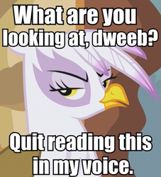 Size: 573x630 | Tagged: safe, derpibooru import, gilda, griffon, dweeb, fourth wall, image macro, solo