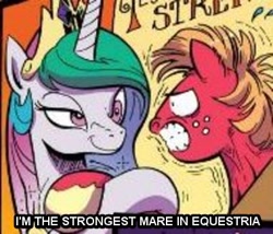 Size: 380x326 | Tagged: safe, idw, big macintosh, princess celestia, alicorn, earth pony, pony, spoiler:comic, hoofwrestle, image macro, male, stallion