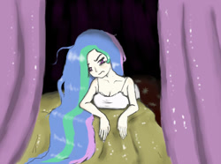 Size: 1000x744 | Tagged: safe, artist:239asd, princess celestia, human, humanized, solo