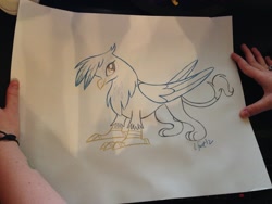 Size: 1600x1200 | Tagged: safe, artist:lauren faust, derpibooru import, gilda, griffon, human, hand, irl, looking at you, sketch, smiling, traditional art