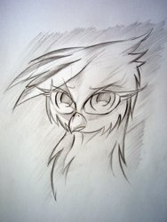 Size: 2304x3072 | Tagged: safe, artist:lachasseauxhiboux, derpibooru import, gilda, griffon, monochrome, solo, traditional art