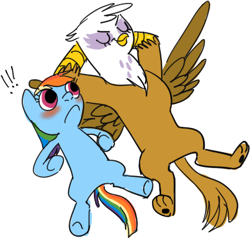 Size: 426x407 | Tagged: safe, artist:cazawhore, derpibooru import, gilda, rainbow dash, griffon, pegasus, pony, blushing