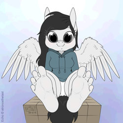 Size: 1000x1000 | Tagged: safe, artist:drjavi, oc, oc only, oc:echo, anthro, pegasus, plantigrade anthro, 4 toes, barefoot, feet, fetish, foot fetish, foot focus, solo, toes