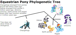 Size: 794x376 | Tagged: safe, applejack, princess celestia, queen chrysalis, rainbow dash, rarity, zecora, alicorn, changeling, changeling queen, earth pony, pegasus, pony, unicorn, zebra, cladogram, evolution, headcanon, phylogenetic tree, text