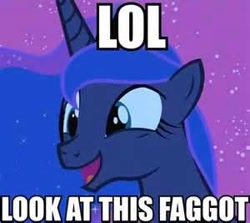 Size: 300x267 | Tagged: safe, princess luna, alicorn, pony, image macro, op is a faggot, reaction image, vulgar