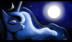 Size: 2500x1458 | Tagged: safe, artist:blackdema, princess luna, alicorn, pony, female, horn, mare, night, solo