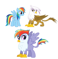 Size: 777x787 | Tagged: safe, artist:kog, derpibooru import, gilda, rainbow dash, oc, classical hippogriff, griffon, hippogriff, pegasus, pony, cute, female, gildash, interspecies offspring, lesbian, magical lesbian spawn, offspring, parent:gilda, parent:rainbow dash, parents:gildash, shipping