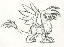 Size: 2524x1880 | Tagged: safe, artist:knight-of-bacon, derpibooru import, gilda, griffon, monochrome, solo, traditional art